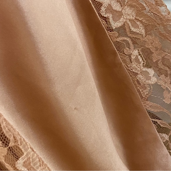 Sue Wong Blush Floral Lace Maxi Dress - Picture 9 of 16